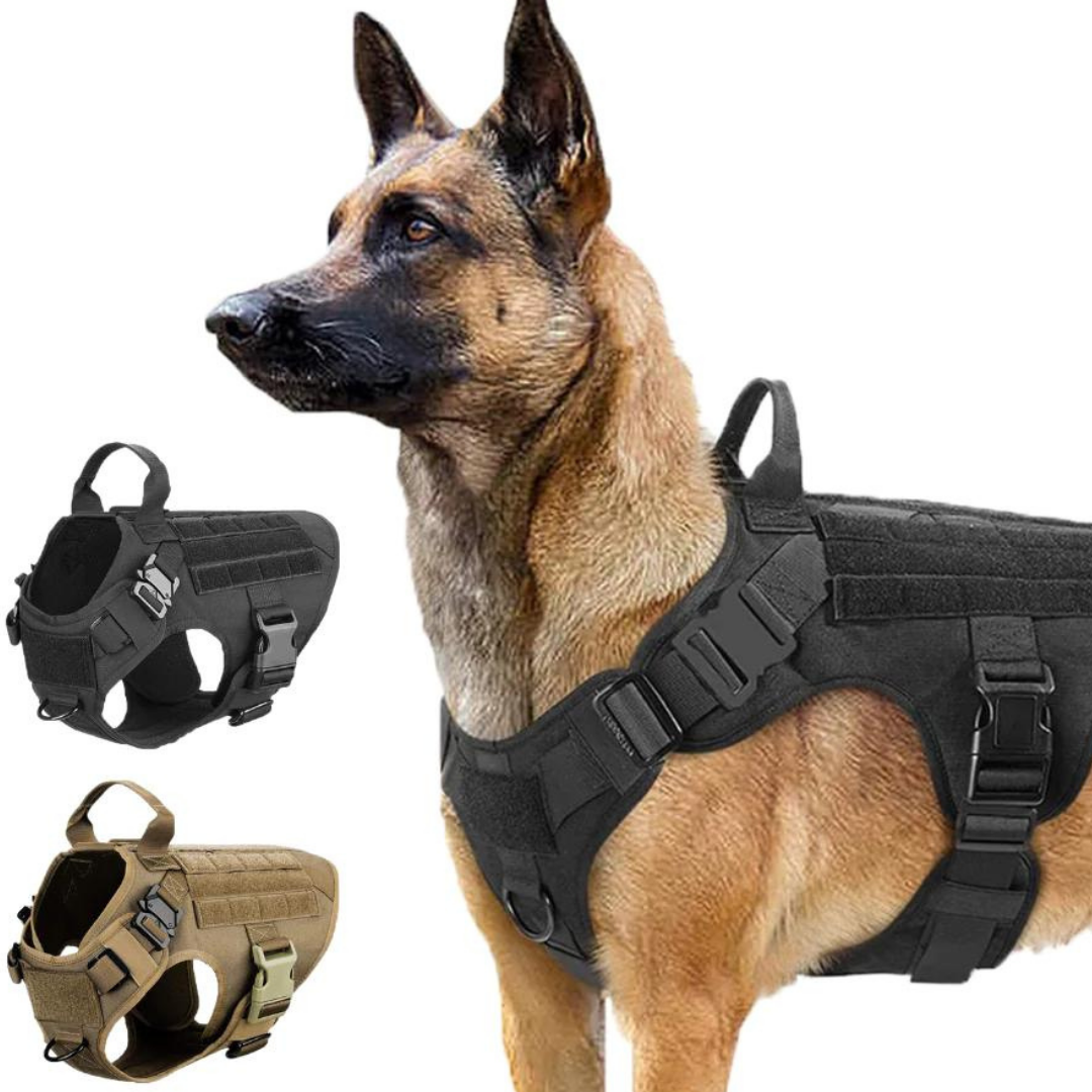 Best k9 harness best sale