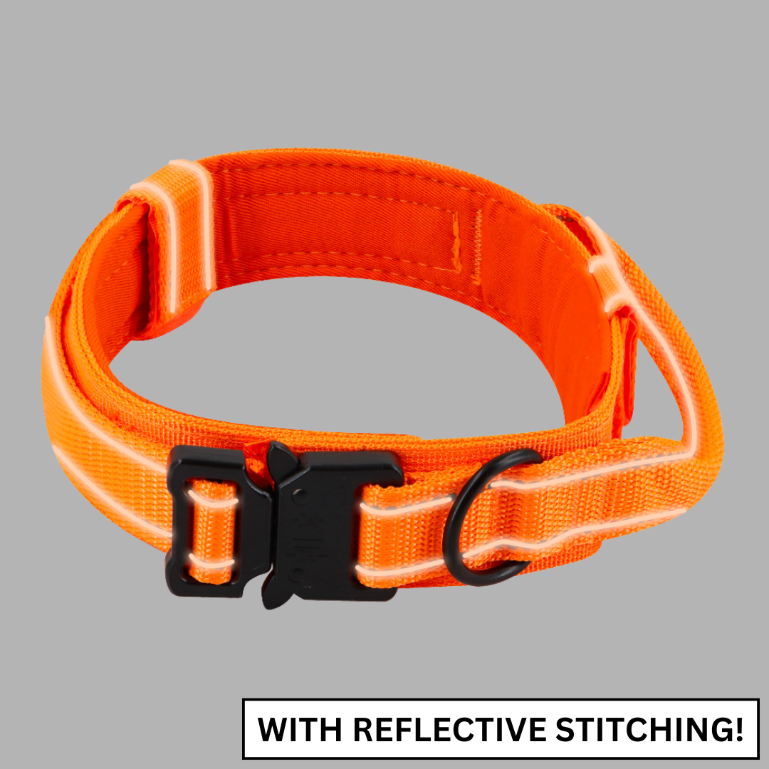 Metal-Buckle Tactical K9 Dog Collar With Hook & Loop Panel & Top Handle