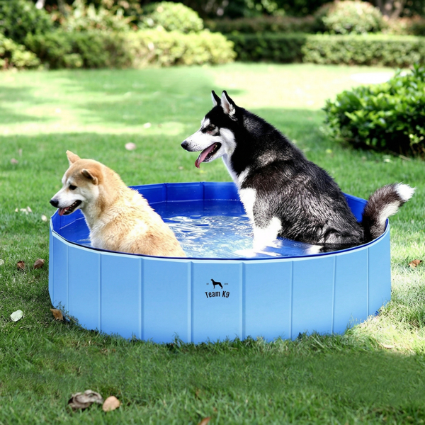 NEW Pop-Up Foldable Outdoor Dog Bath & Swimming Pool With Side Drain (Aqua Blue)