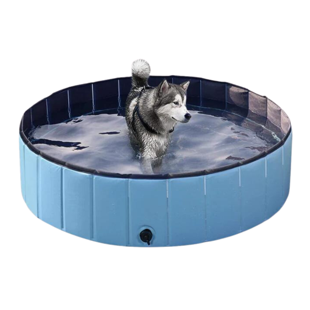 NEW Pop-Up Foldable Outdoor Dog Bath & Swimming Pool With Side Drain (Aqua Blue)