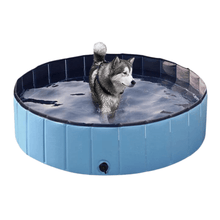 Pop-Up Foldable Outdoor Dog Bath & Swimming Pool With Side Drain (Aqua Blue)