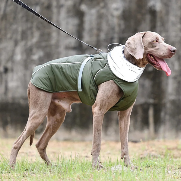 NEW Water-Resistant Dog Winter Coat With Reflective Strips, Adjustable Elastic Tighteners, & Safety Buckles