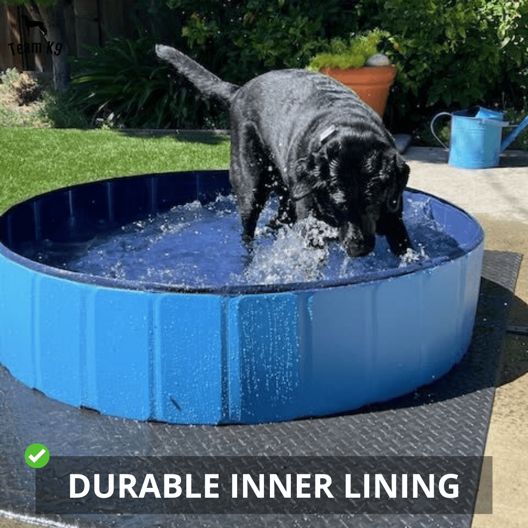 Dog Pool Designs Dog Leg Swimming Pool Designs And Plans Foldable Dog Pool Sprinkler
