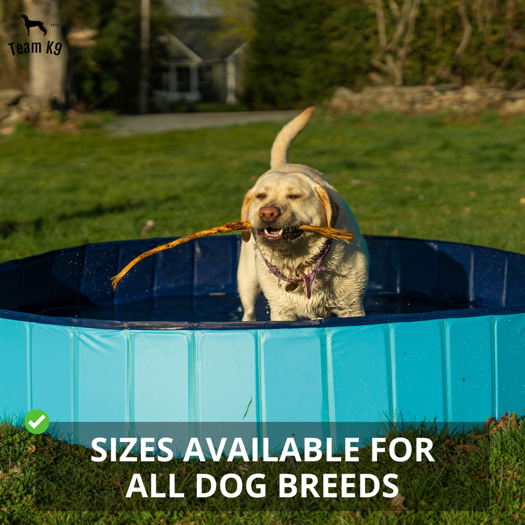 NEW Pop-Up Foldable Outdoor Dog Bath & Swimming Pool With Side Drain (Aqua Blue)