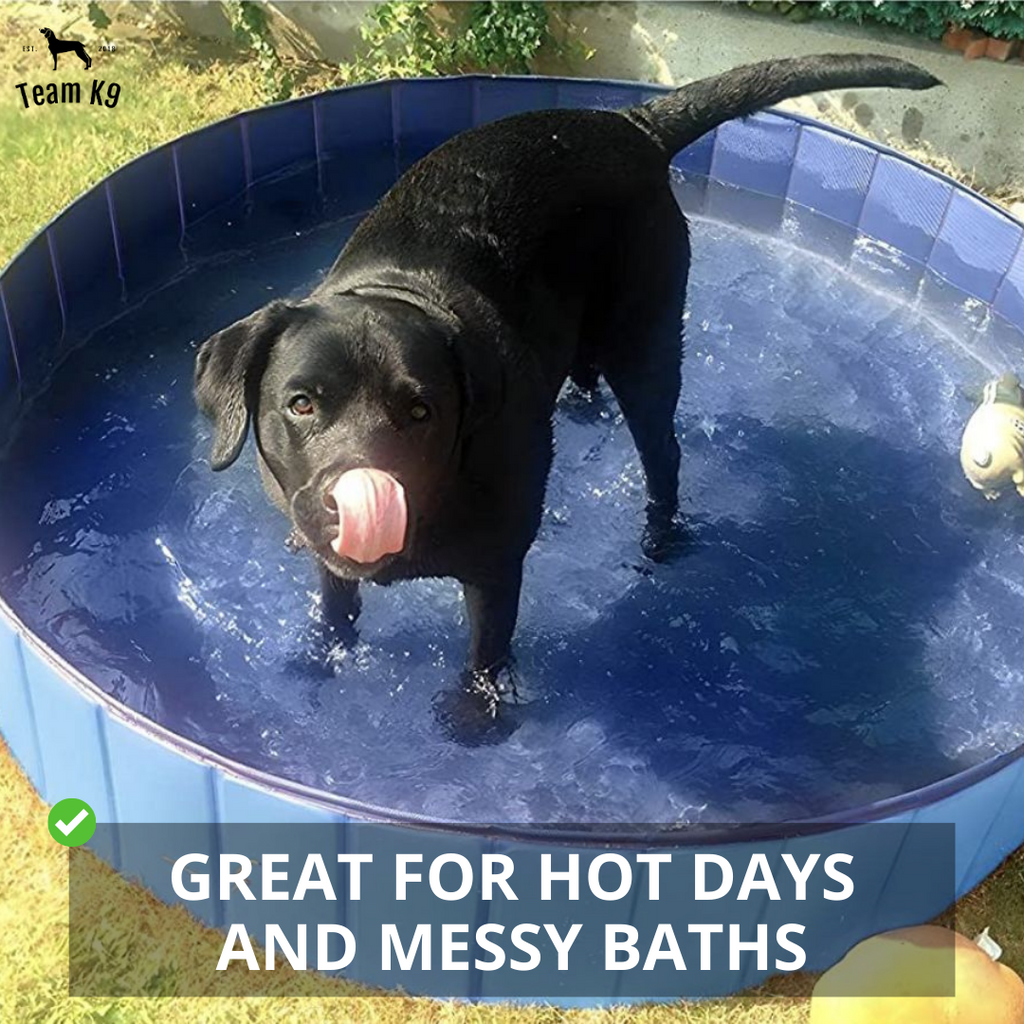 NEW Pop-Up Foldable Outdoor Dog Bath & Swimming Pool With Side Drain (Aqua Blue)