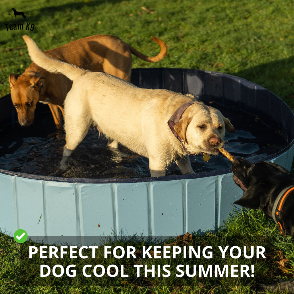 NEW Pop-Up Foldable Outdoor Dog Bath & Swimming Pool With Side Drain (Aqua Blue)