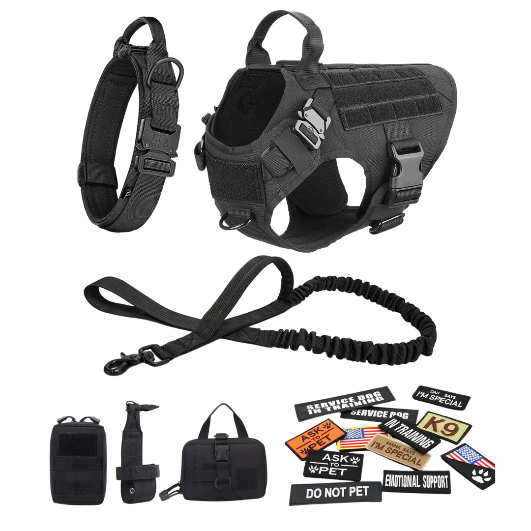 Team k9 dog hot sale harness