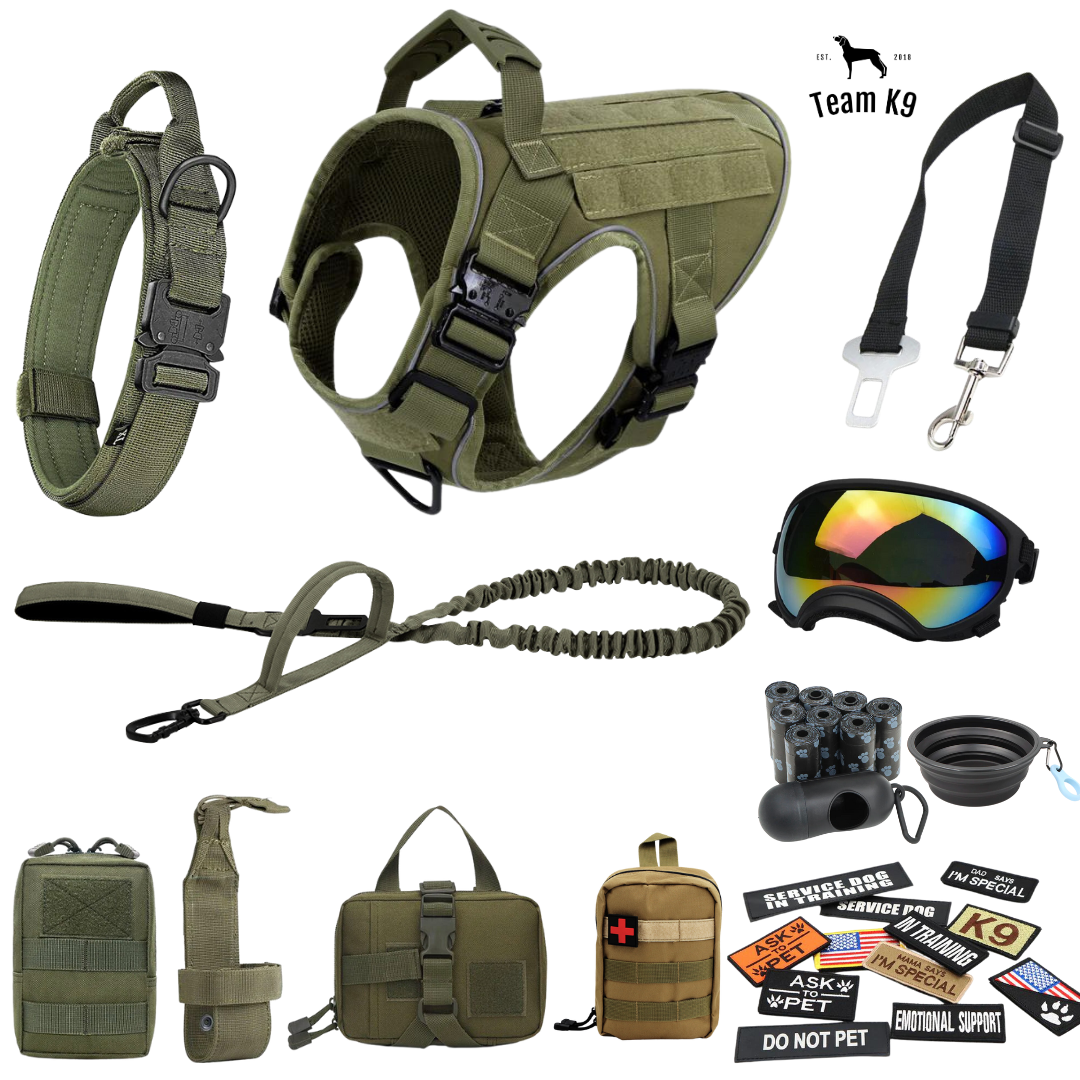 10-In-1 Tactical K9 Harness System - Full Set Dog Harness Bundle (Includes: Tactical No-Pull Dog Harness + Bungee Leash + Collar + MOLLE Pouches + First Aid Kit + 12 Hook & Loop Patches + Dog Goggles + Safety Belt + Travel Water Bowl + Dog Waste Bags)