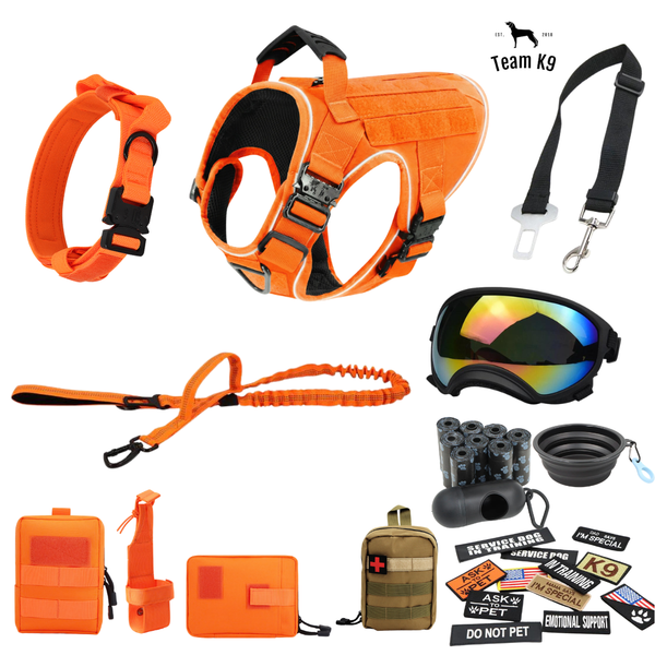 10-In-1 Tactical K9 Harness System - Full Set Dog Harness Bundle (Includes: Tactical No-Pull Dog Harness + Bungee Leash + Collar + MOLLE Pouches + First Aid Kit + 12 Hook & Loop Patches + Dog Goggles + Safety Belt + Travel Water Bowl + Dog Waste Bags)