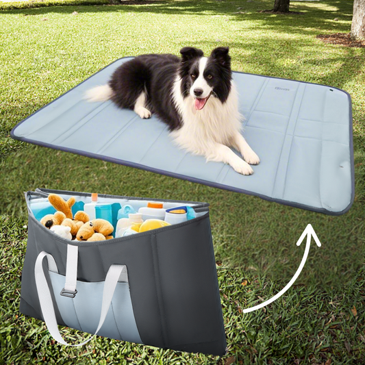 2-In-1 Convertible Tote Bag & Outdoor Dog Mat For Outdoor Trips