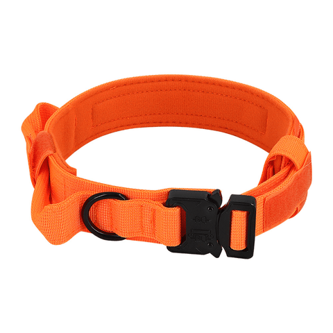 Blaze Orange