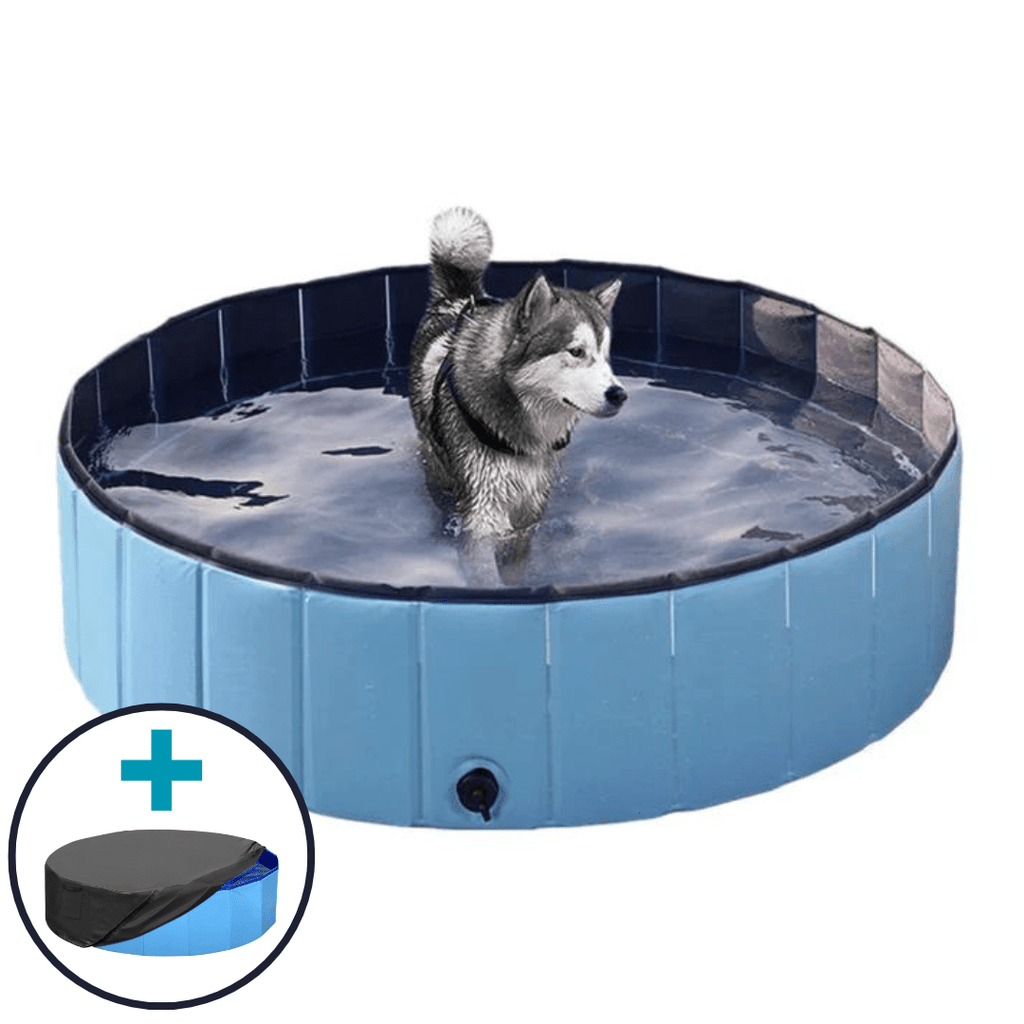 Pop-Up Foldable Outdoor Dog Bath & Swimming Pool With Side Drain (Aqua Blue)
