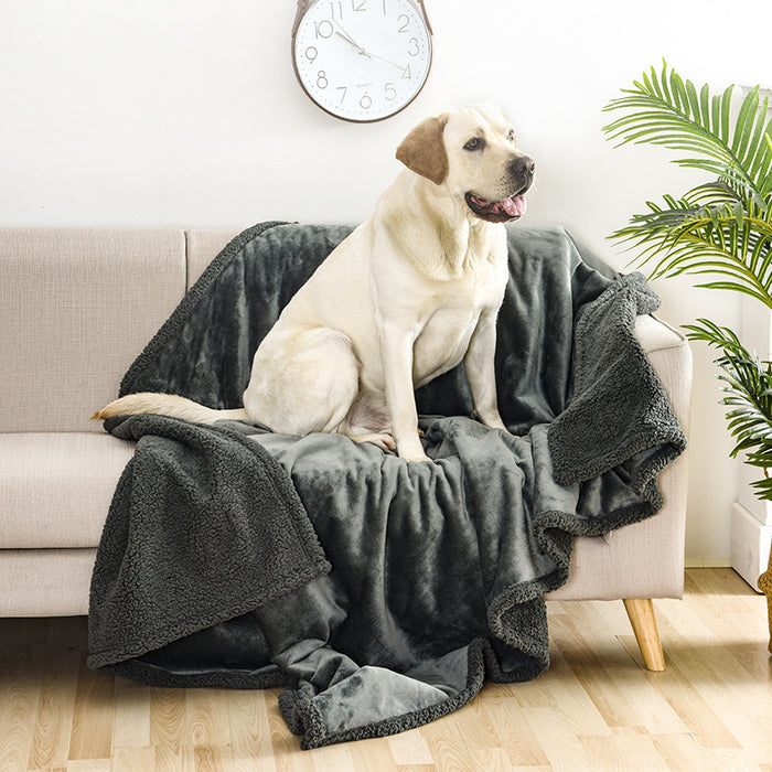Team K9 water resistant dog throw blanket for furniture protection