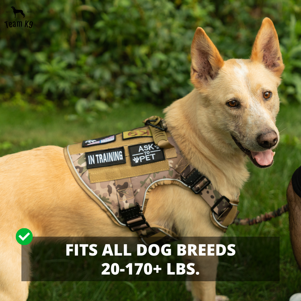 NEW Upgraded Tactical No-Pull Team K9™ Dog Harness with 4 Quick-Release Metal Buckles, Reinforced Front & Back D-Rings, Hook & Loop Panels, Adjustable Straps, Reflective Strips, & Top Handle