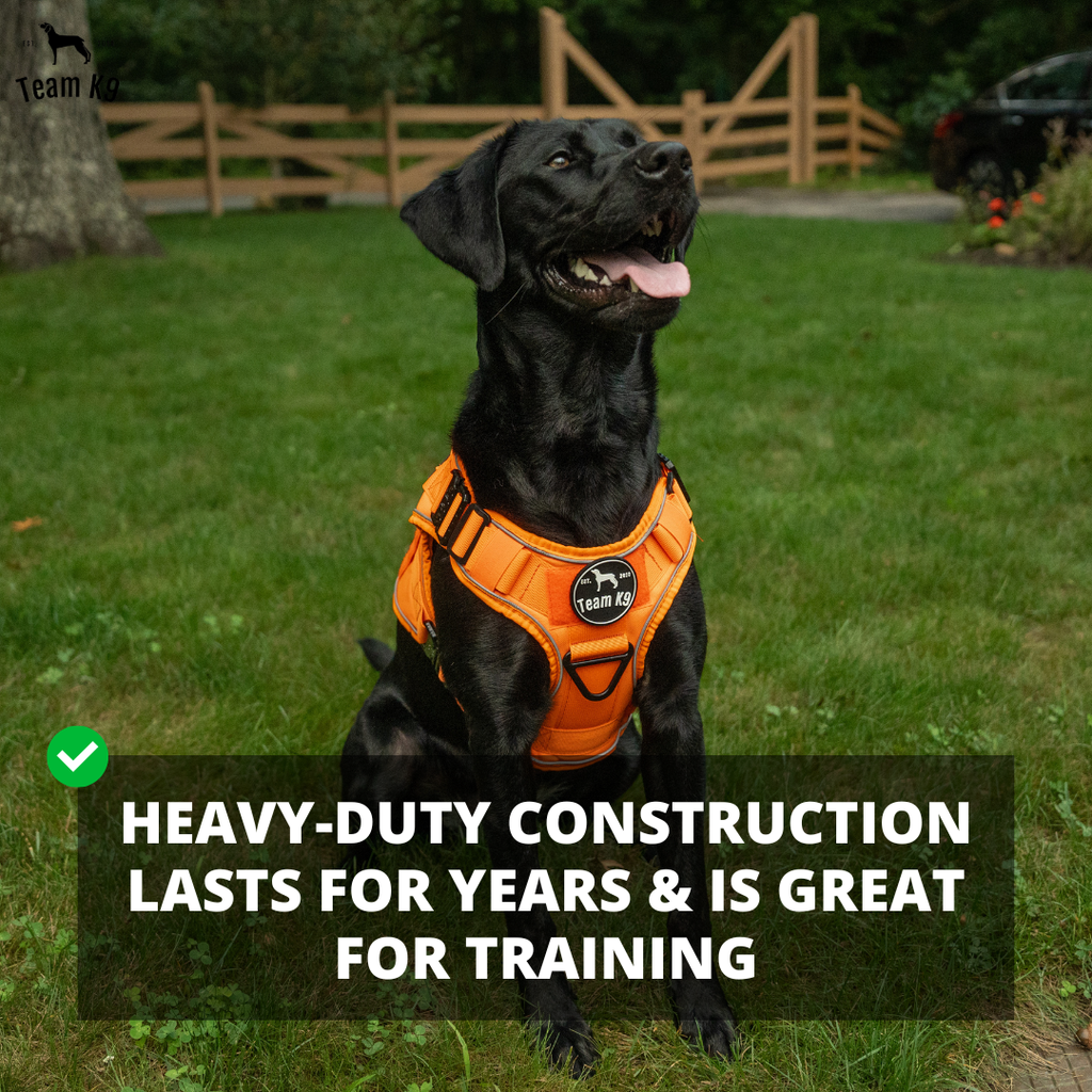 NEW Upgraded Tactical No-Pull Team K9™ Dog Harness with 4 Quick-Release Metal Buckles, Reinforced Front & Back D-Rings, Hook & Loop Panels, Adjustable Straps, Reflective Strips, & Top Handle