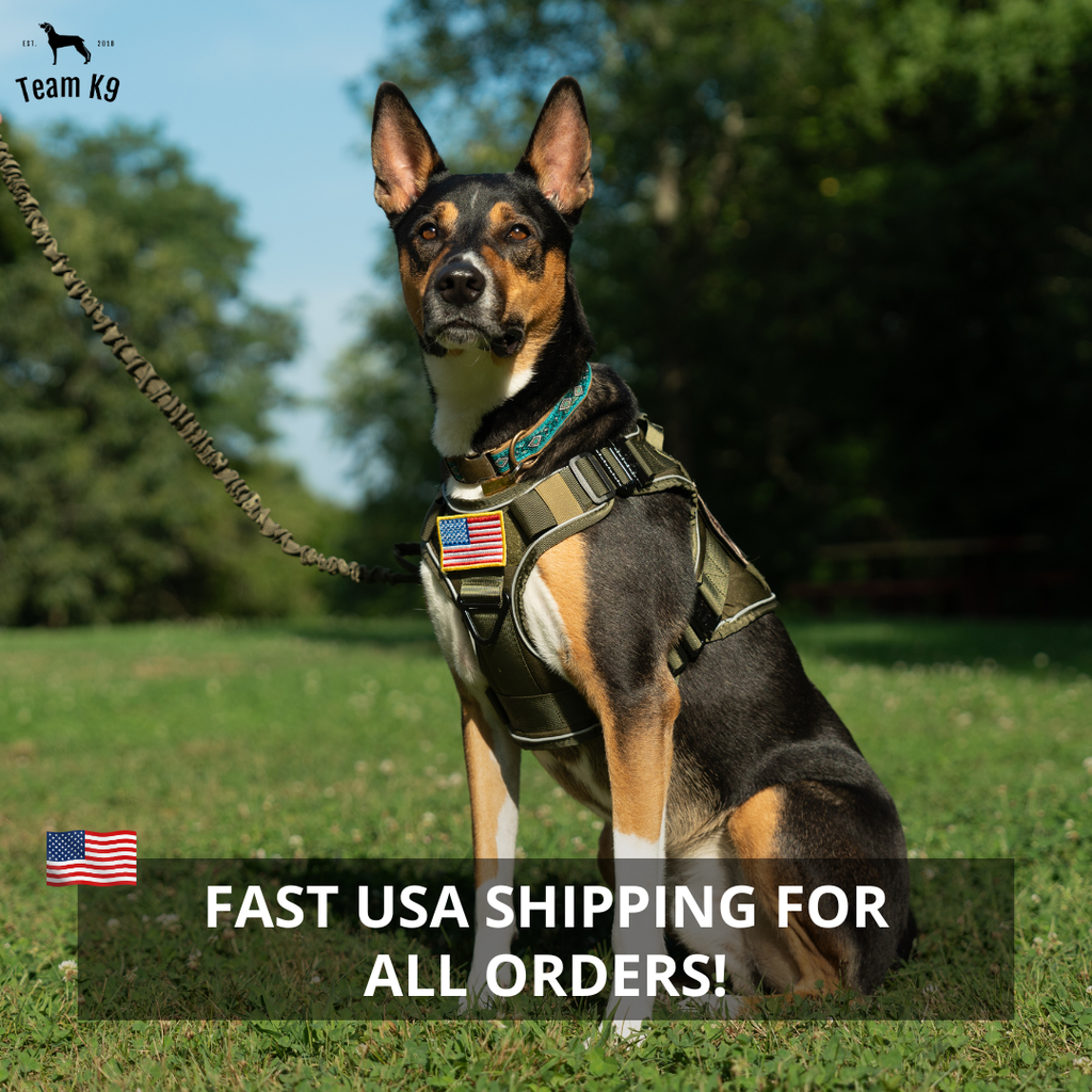 NEW Upgraded Tactical No-Pull Team K9™ Dog Harness with 4 Quick-Release Metal Buckles, Reinforced Front & Back D-Rings, Hook & Loop Panels, Adjustable Straps, Reflective Strips, & Top Handle
