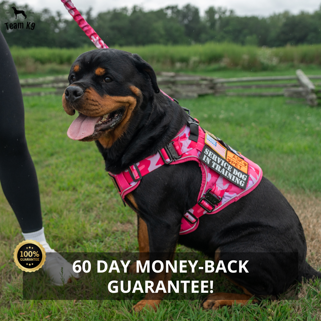 NEW Upgraded Tactical No-Pull Team K9™ Dog Harness with 4 Quick-Release Metal Buckles, Reinforced Front & Back D-Rings, Hook & Loop Panels, Adjustable Straps, Reflective Strips, & Top Handle