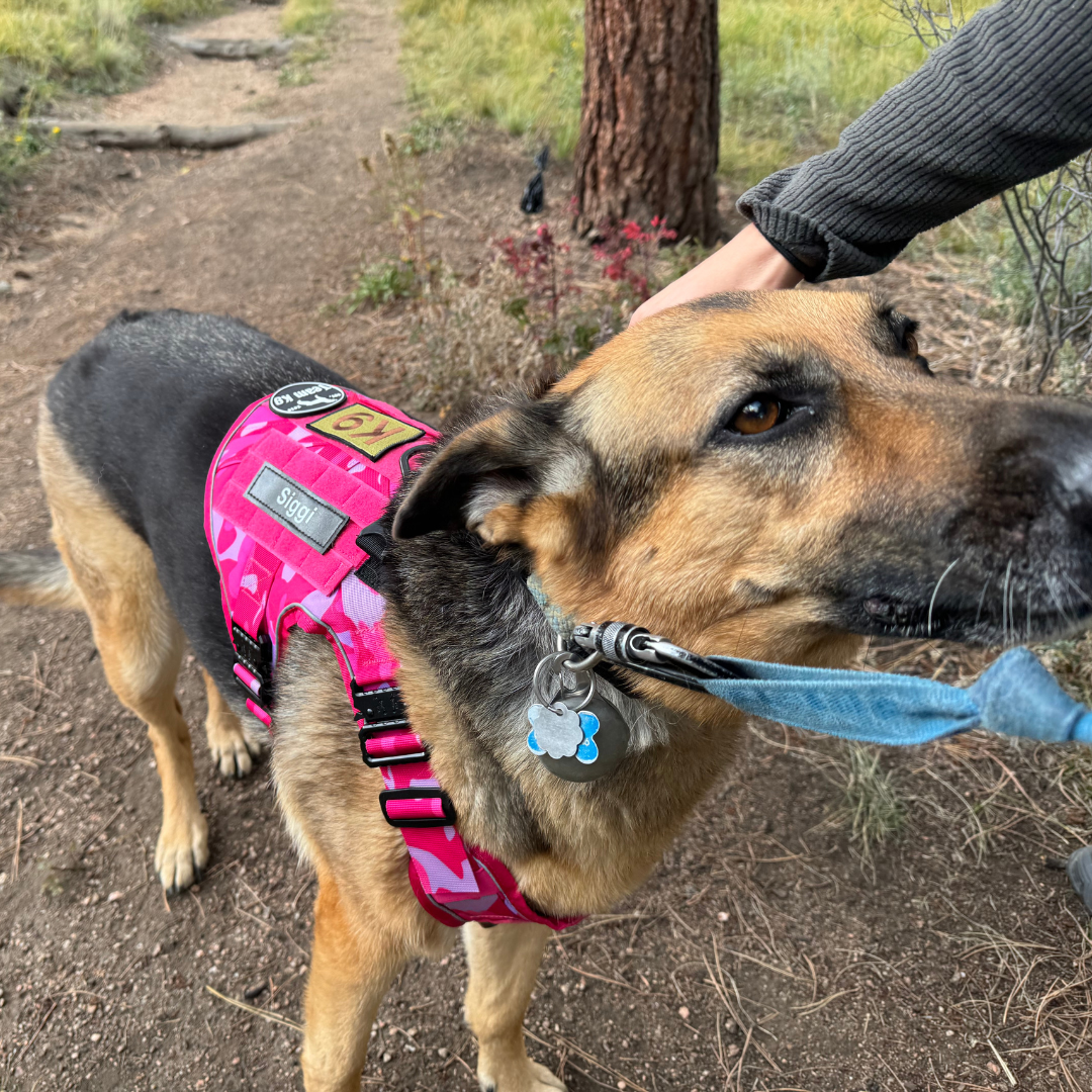 NEW Upgraded Tactical No-Pull Team K9™ Dog Harness with 4 Quick-Release Metal Buckles, Reinforced Front & Back D-Rings, Hook & Loop Panels, Adjustable Straps, Reflective Strips, & Top Handle