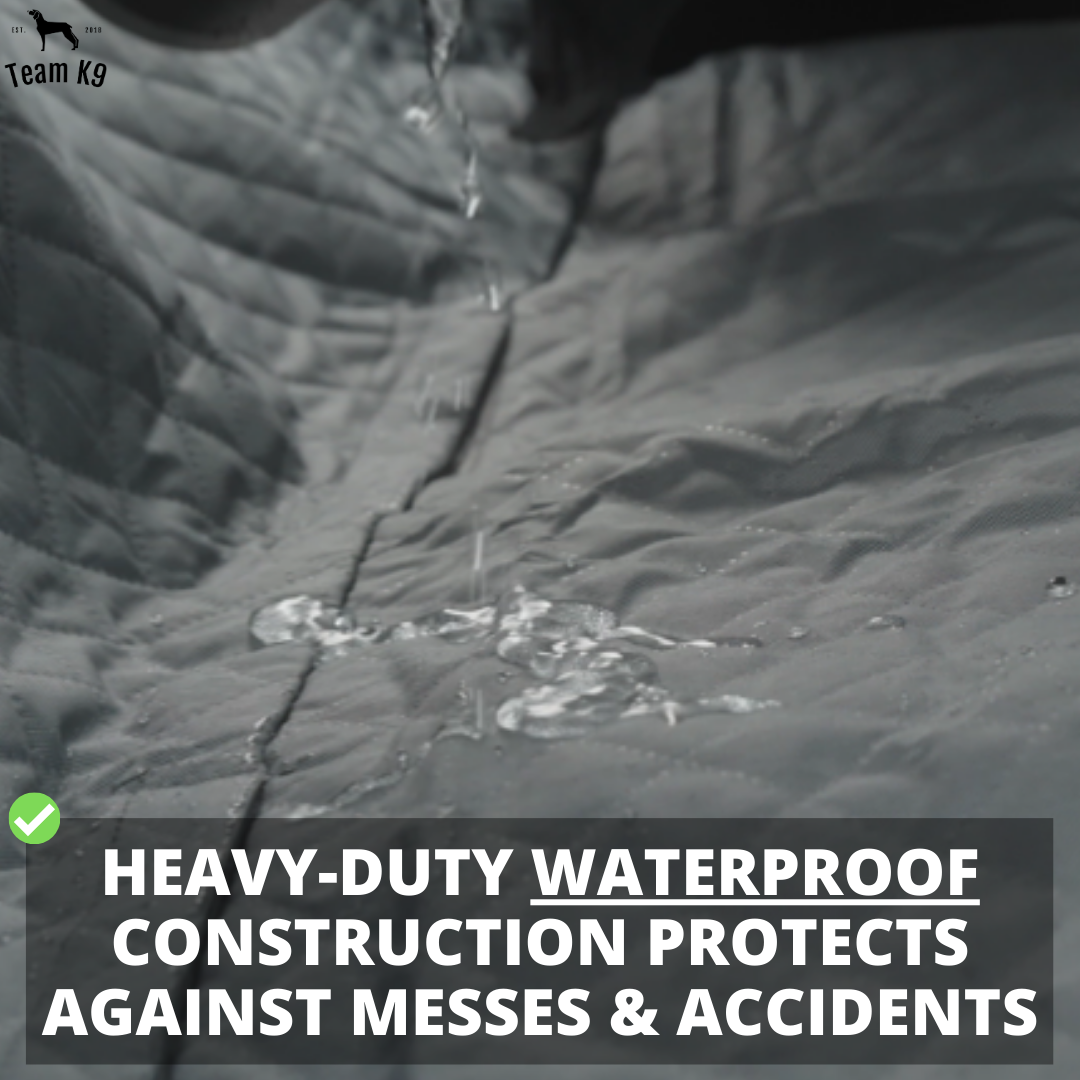 Team k9 2024 car seat cover