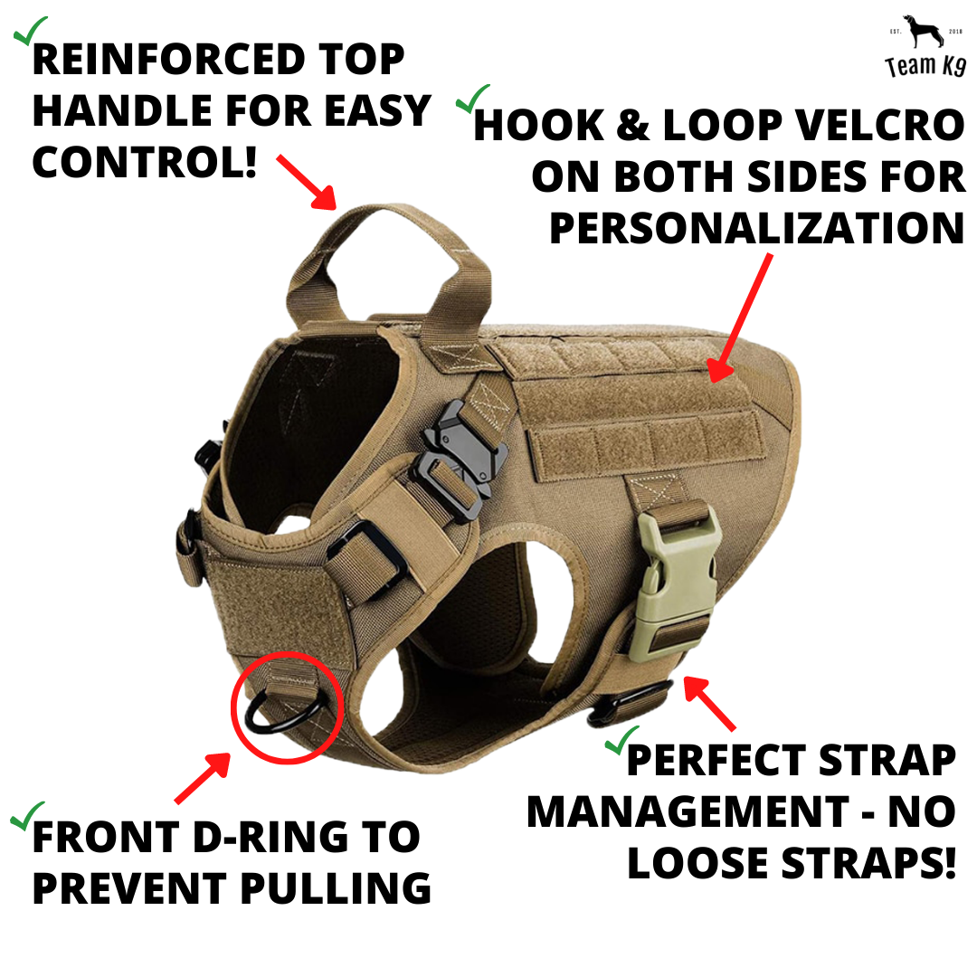 NEW 10-In-1 Tactical K9 Harness System - Full Set Dog Harness Bundle (Includes: Tactical No-Pull Dog Harness + Bungee Leash + Collar + MOLLE Pouches + First Aid Kit + 12 Hook & Loop Patches + Dog Goggles + Safety Belt + Travel Water Bowl + Dog Waste Bags)