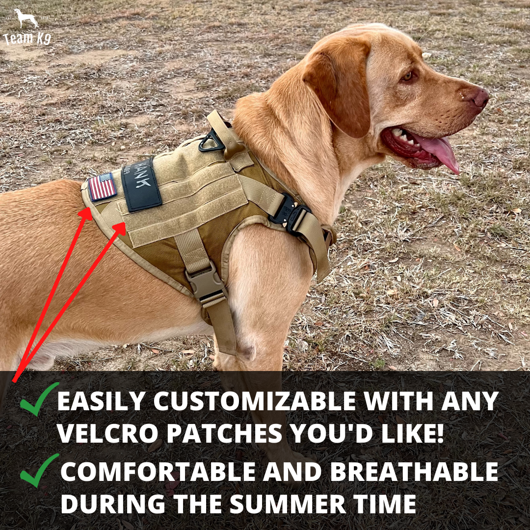 NEW 10-In-1 Tactical K9 Harness System - Full Set Dog Harness Bundle (Includes: Tactical No-Pull Dog Harness + Bungee Leash + Collar + MOLLE Pouches + First Aid Kit + 12 Hook & Loop Patches + Dog Goggles + Safety Belt + Travel Water Bowl + Dog Waste Bags)