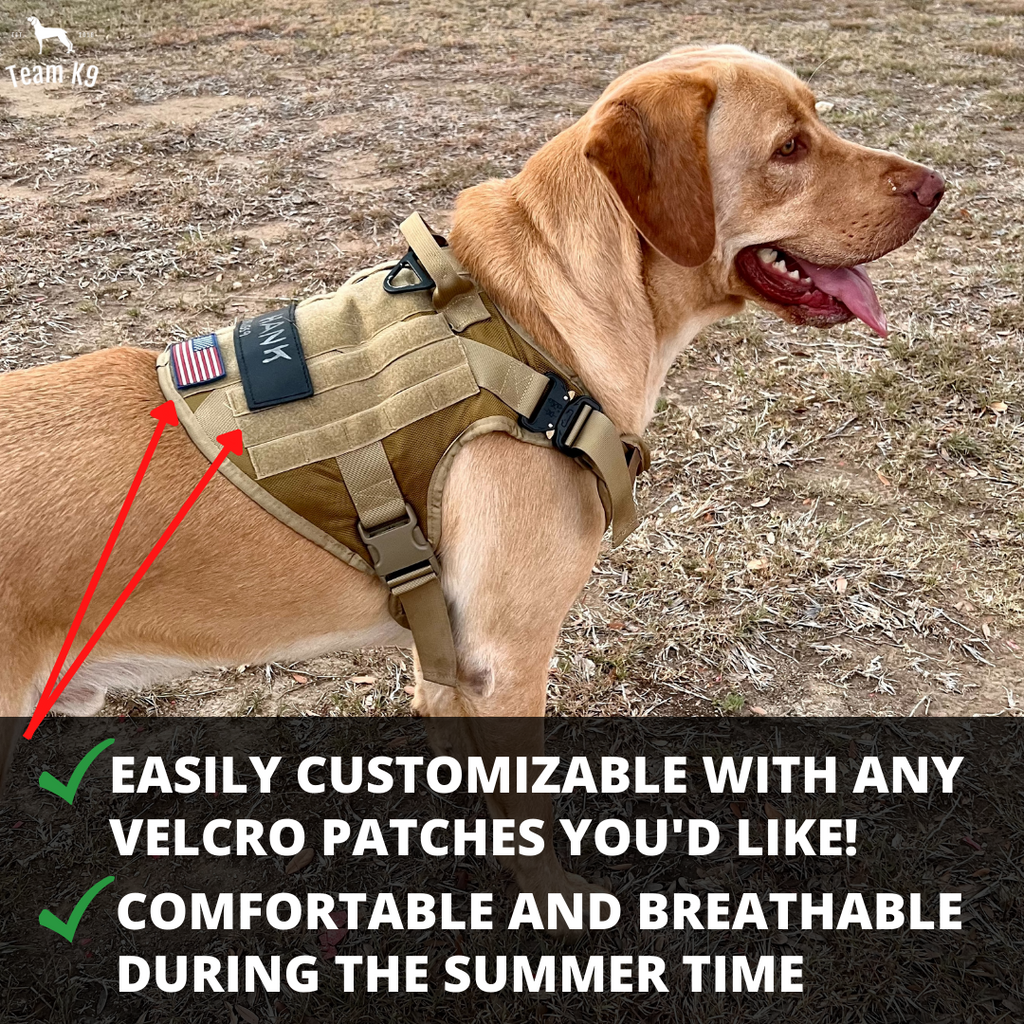 10-In-1 Tactical K9 Harness System - Full Set Dog Harness Bundle (Includes: Tactical No-Pull Dog Harness + Bungee Leash + Collar + MOLLE Pouches + First Aid Kit + 12 Hook & Loop Patches + Dog Goggles + Safety Belt + Travel Water Bowl + Dog Waste Bags)