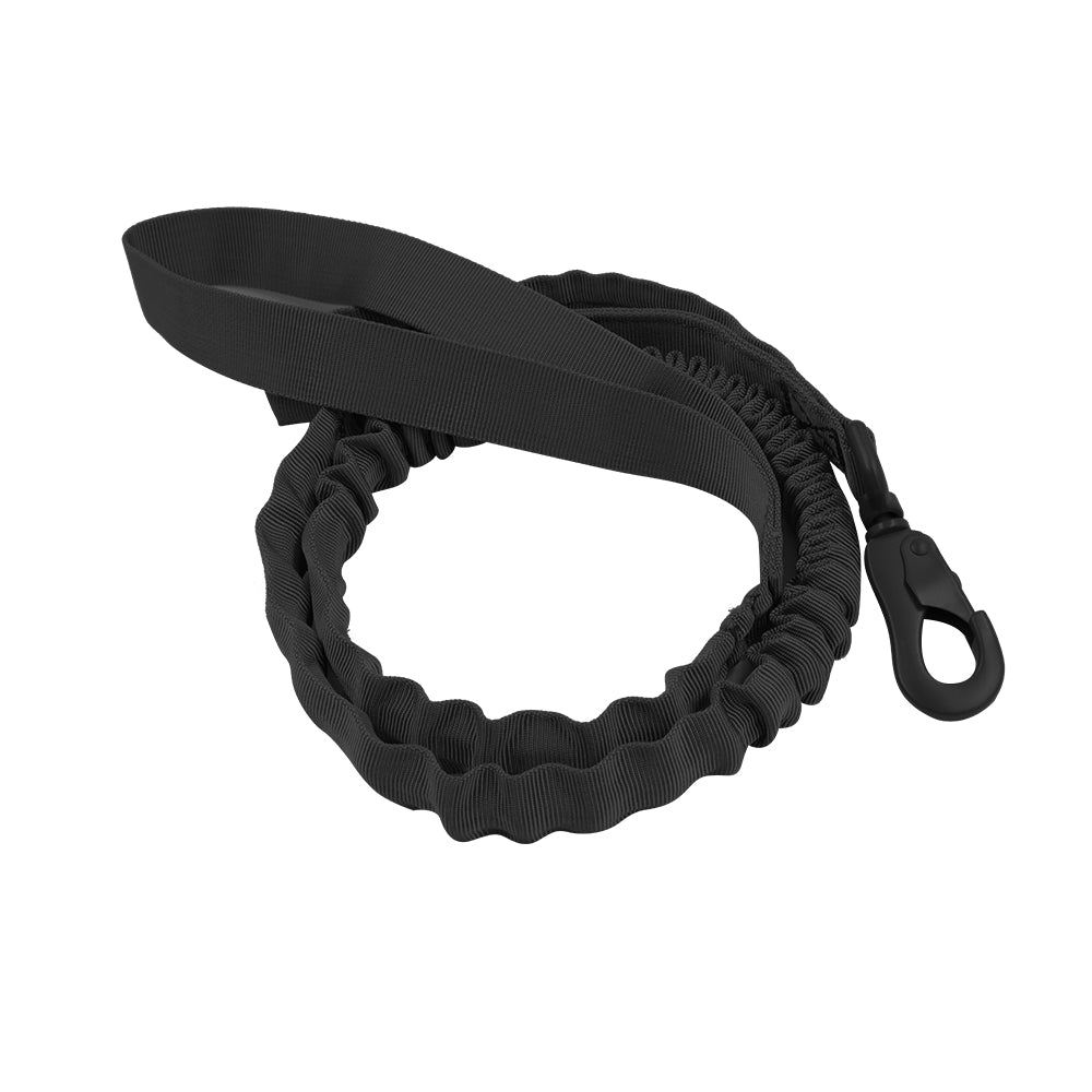 Black best sale dog leashes