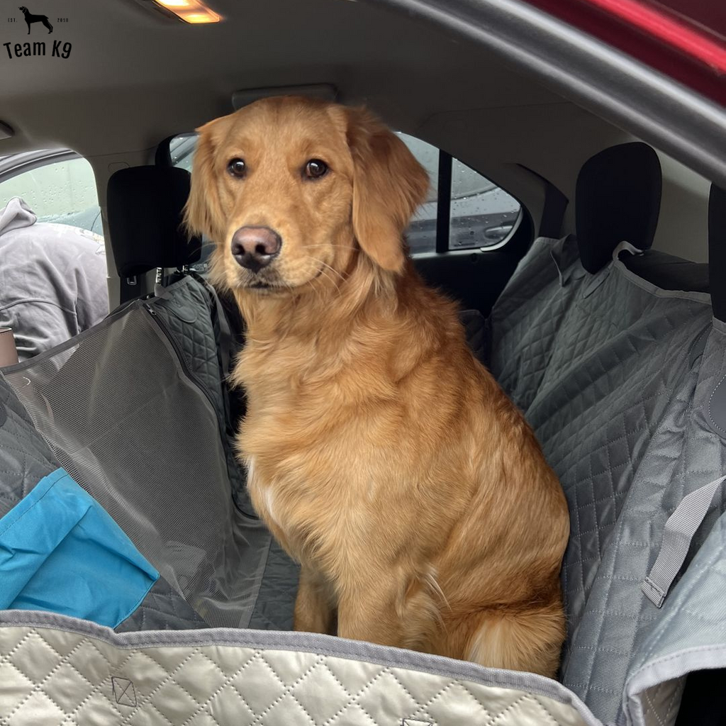 Waterproof Non-Slip Car Seat Hammock Cover With Pockets, Side Flaps, Headrest Straps, Seat-Anchors, & Mesh Window (+FREE SAFETY BELT!)