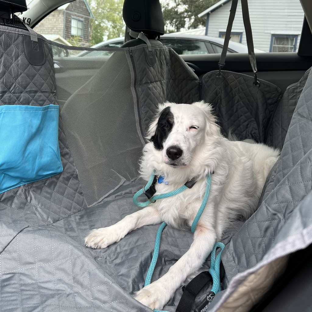 Waterproof Non-Slip Car Seat Hammock Cover With Pockets, Side Flaps, Headrest Straps, Seat-Anchors, & Mesh Window (+FREE SAFETY BELT!)