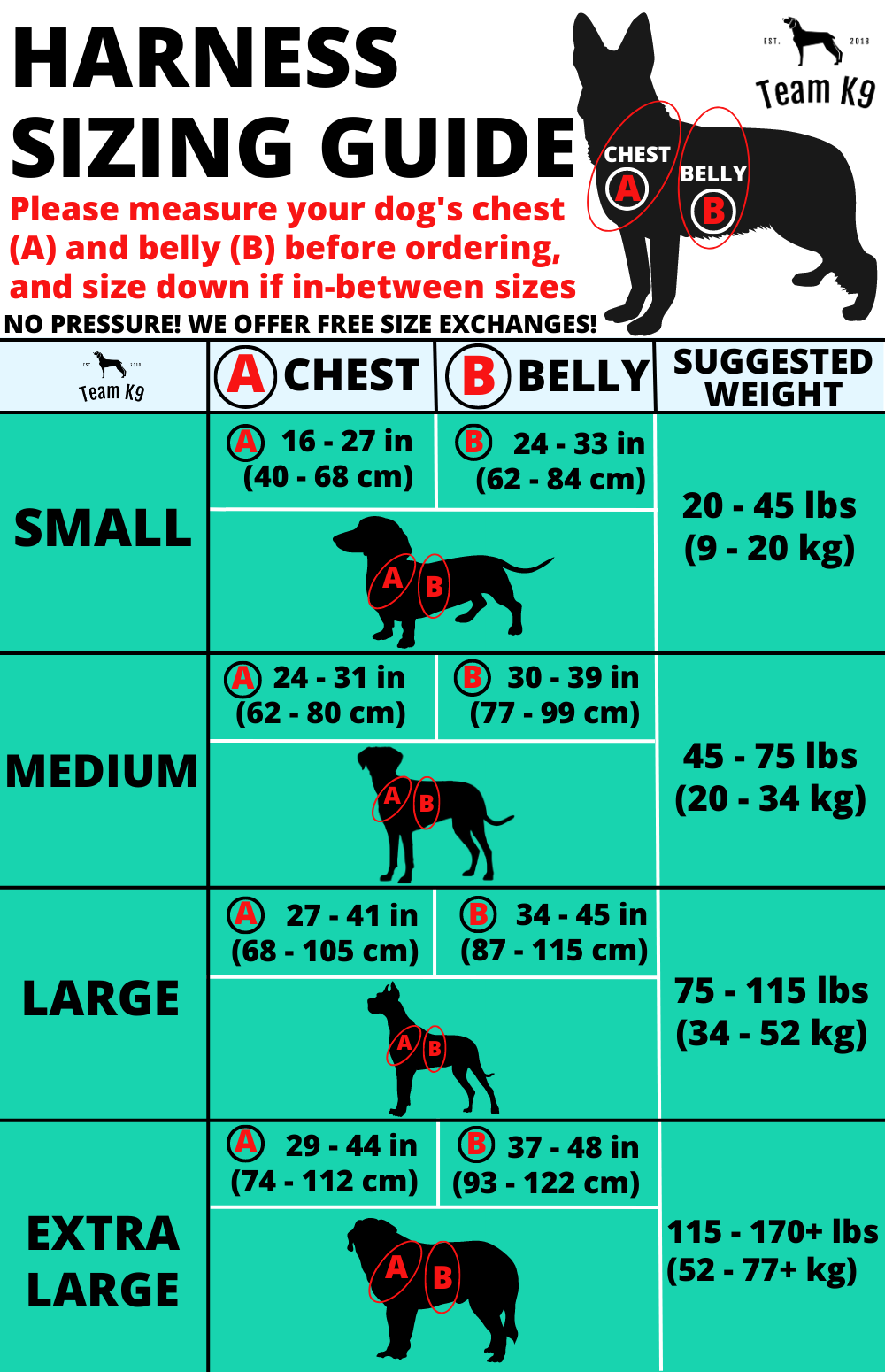 10-In-1 Tactical K9 Harness System - Full Set Dog Harness Bundle (Includes: Tactical No-Pull Dog Harness + Bungee Leash + Collar + MOLLE Pouches + First Aid Kit + 12 Hook & Loop Patches + Dog Goggles + Safety Belt + Travel Water Bowl + Dog Waste Bags)