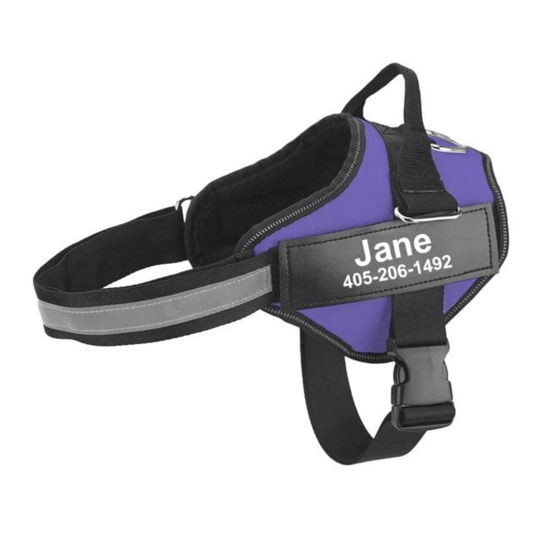 Personalized No-Choke Dog Harness With Top Handle, Reflective Front Band, & Custom Name Patch