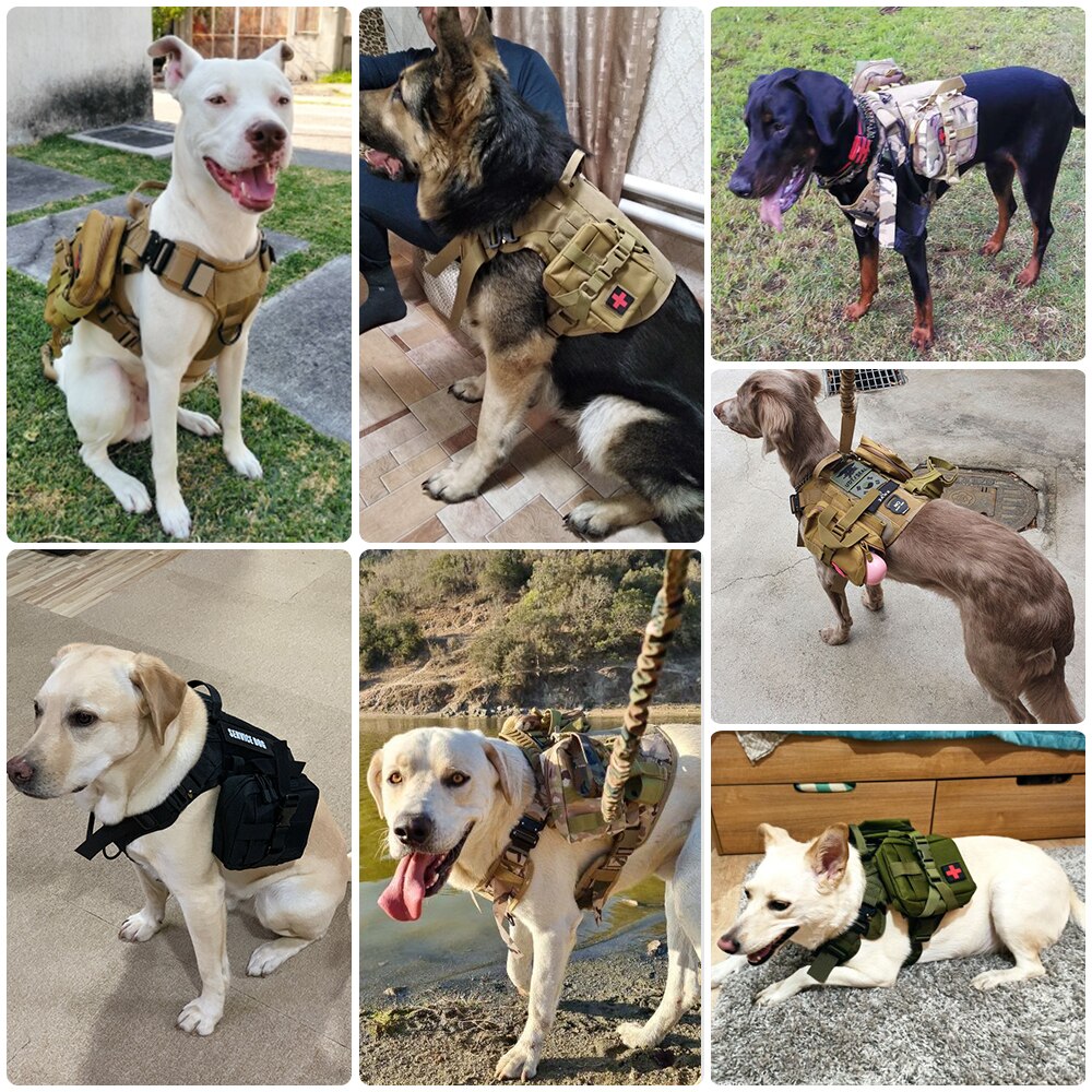 Dog best sale utility harness