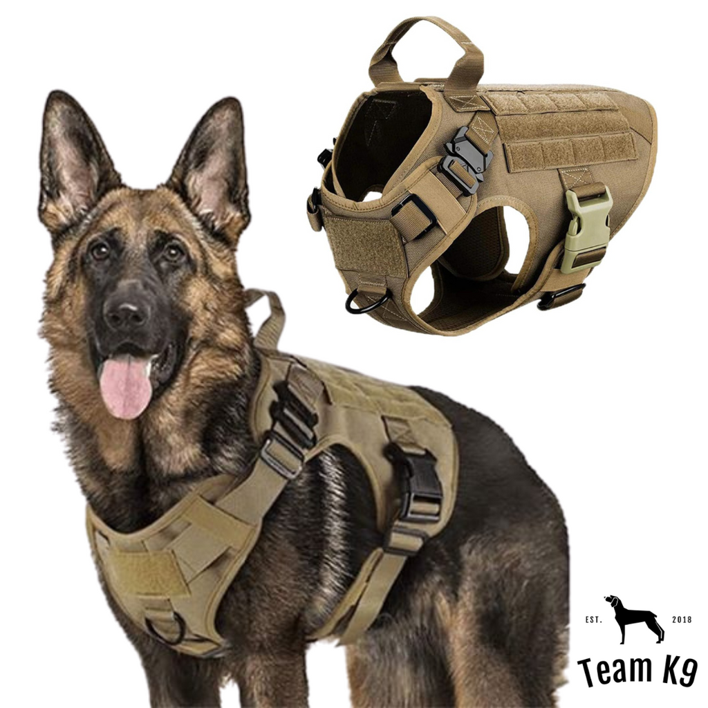10-In-1 Tactical K9 Harness System - Full Set Dog Harness Bundle (Includes: Tactical No-Pull Dog Harness + Bungee Leash + Collar + MOLLE Pouches + First Aid Kit + 12 Hook & Loop Patches + Dog Goggles + Safety Belt + Travel Water Bowl + Dog Waste Bags)