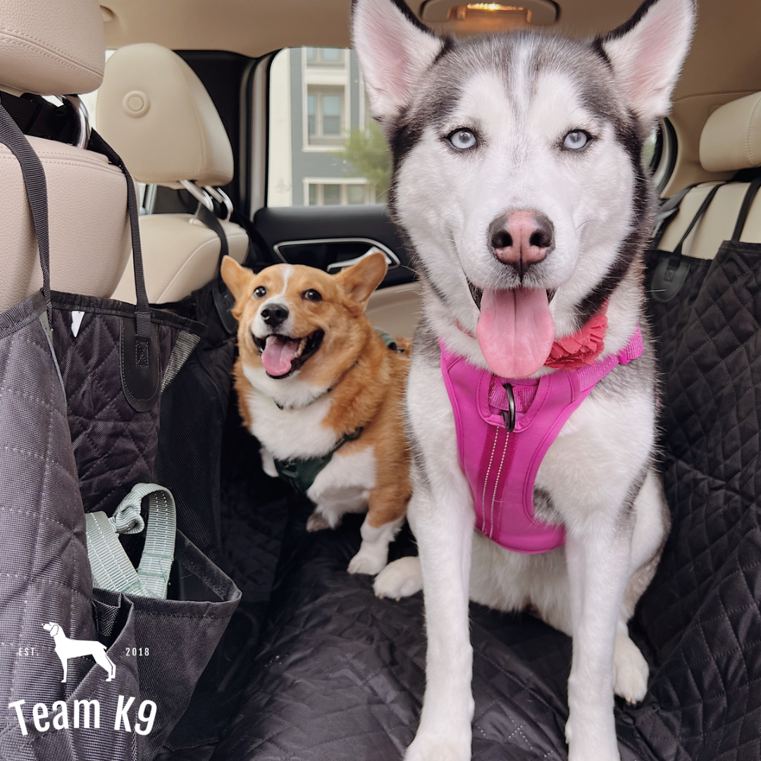 Waterproof Non Slip Car Seat Hammock Cover With Pockets Side Flaps Headrest Straps Seat Anchors Mesh Window FREE SAFETY BELT