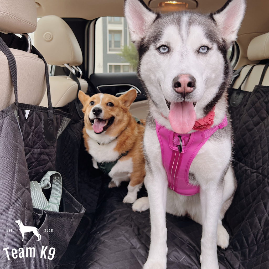 Waterproof Non-Slip Car Seat Hammock Cover With Pockets, Side Flaps, Headrest Straps, Seat-Anchors, & Mesh Window (+FREE SAFETY BELT!)