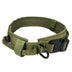 Olive Drab Green