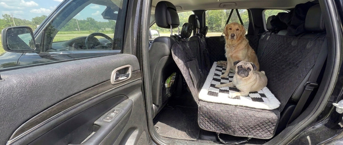 Pug and Golden Retriever sharing the Black Team K9 hard-bottom car seat cover with checkerboard bed and two clip-on cooling fans