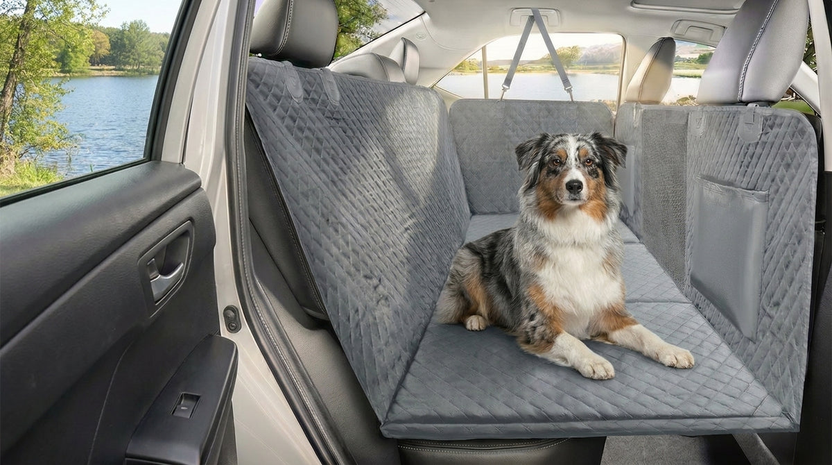 Blue-merle Australian Shepherd riding on the Gray Team K9 hard-bottom car seat cover