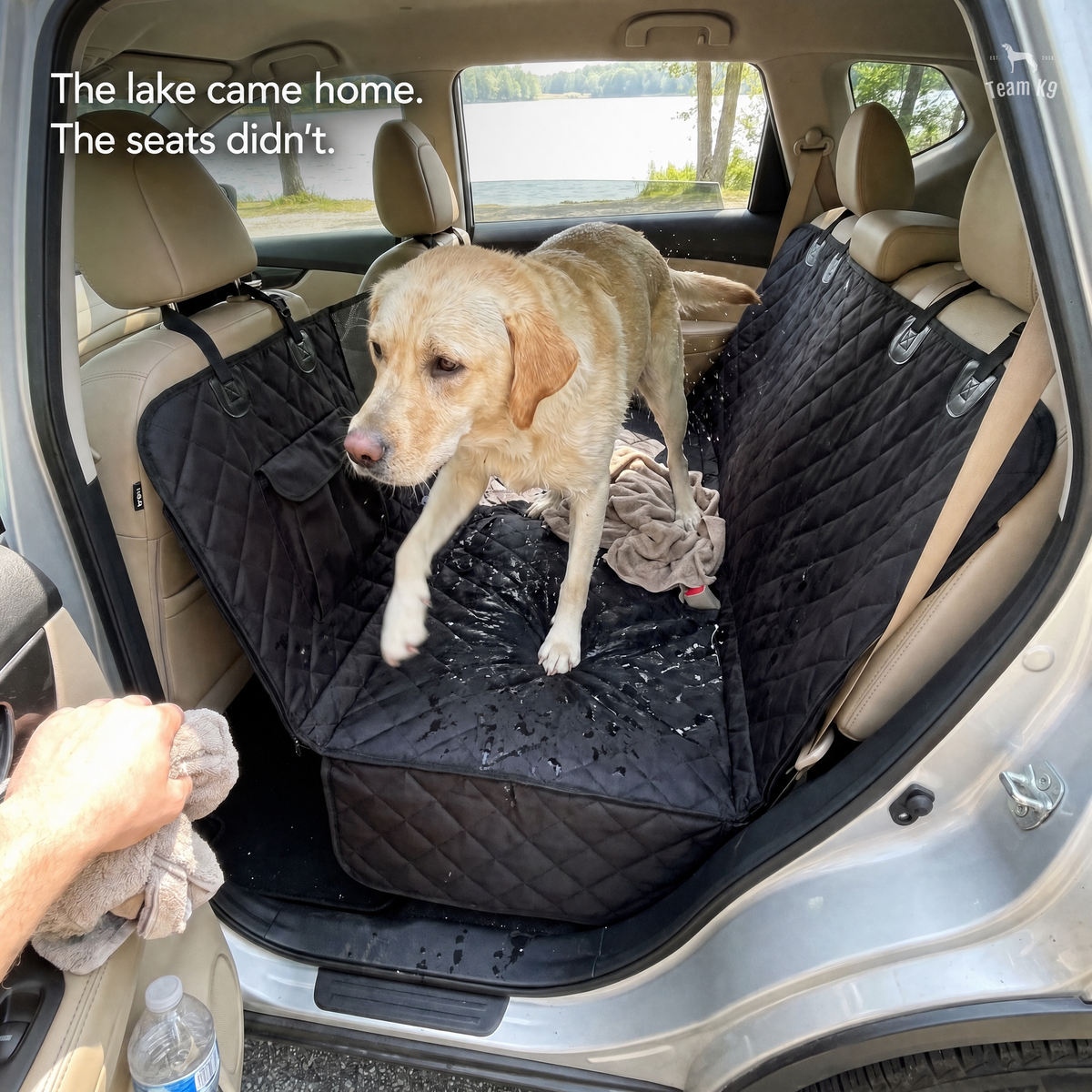 Approved Team K9 Swipe-Story product image 3