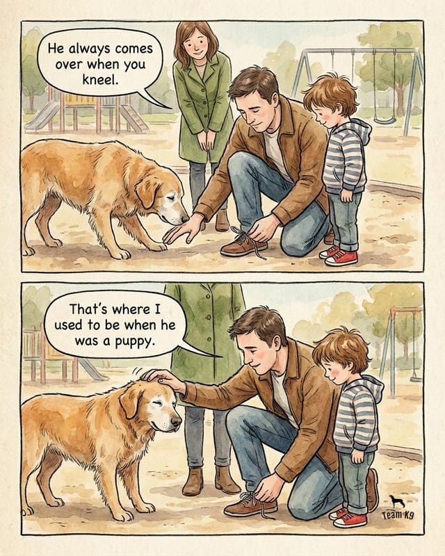 Comic: an old dog at the park walks over whenever someone kneels, because that is where he sat as a puppy.