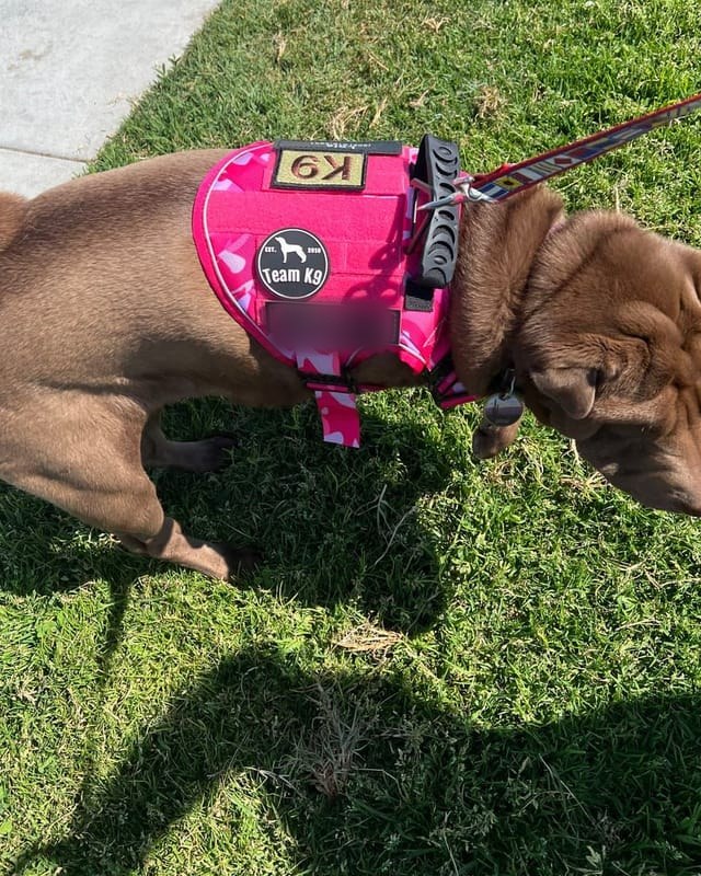 Customer photo from Christine P.