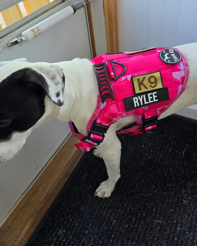 Customer photo from Laurie G.