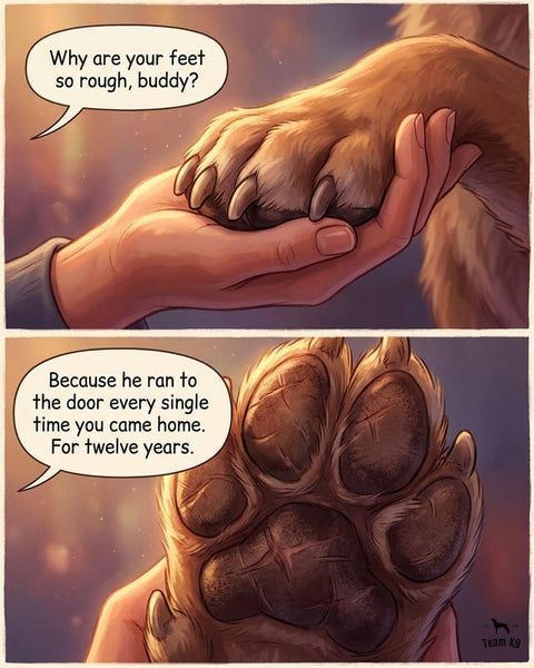 Comic: a hand holds an old dog's rough paw. The paws are rough because he ran to the door every time you came home, for twelve years.
