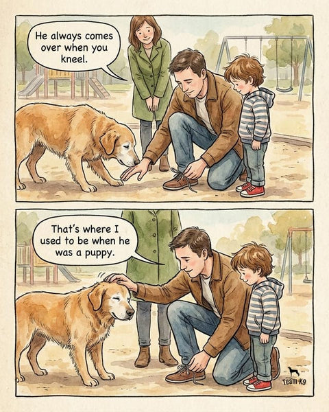 Comic: an old dog at the park walks over whenever someone kneels, because that is where he sat as a puppy.