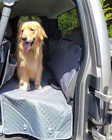 Customer photo of Halle, from Pamela K.