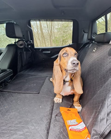 Customer photo of Kaylee, from Terry G.