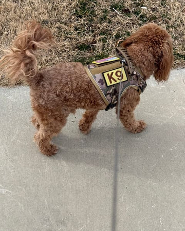Customer photo of Kevin, from Mitch M.