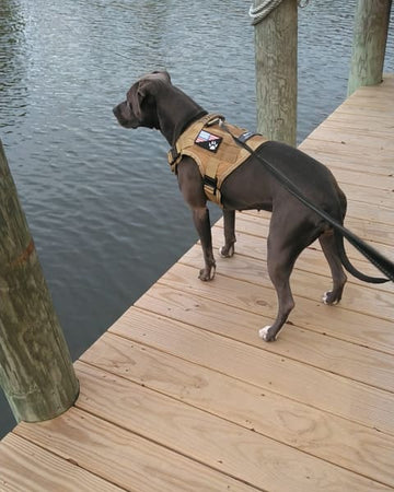 Customer photo of Mama, from Michael M.