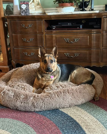 Customer photo of Molly, from Judy M.