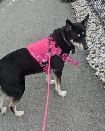 Customer photo of Mon Ami, from Margaret G.